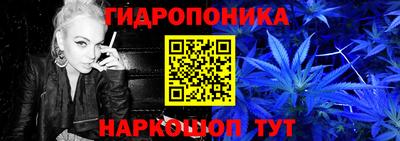 сатива Краснодар