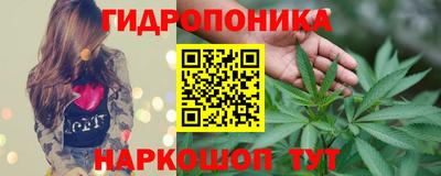 спиды Краснознаменск
