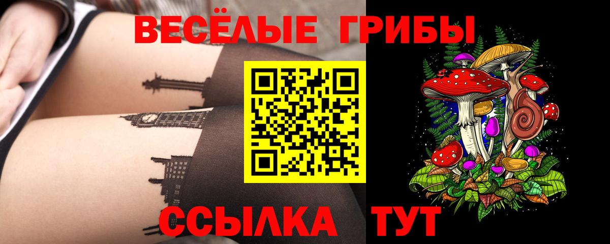 Каменка  Псилоцибиновые грибы мухоморы  Вход с VPN 